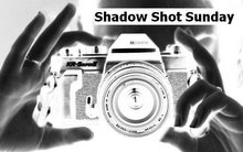 Shadow Shot Sunday logo1