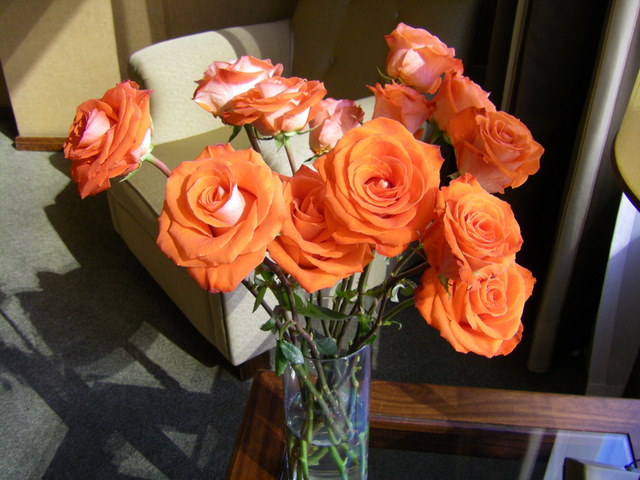 Roses in our hotel room in Quito
