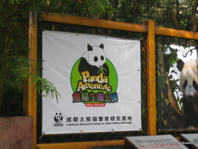 Welcome to the Panda Breeding Base