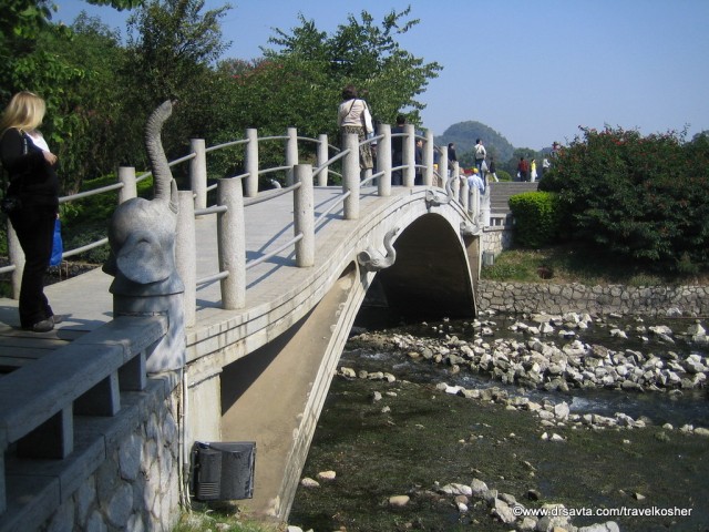 The Elephant Bridge